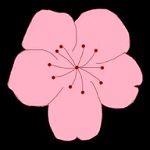 WWW,se551·COM网站APPAPP应用